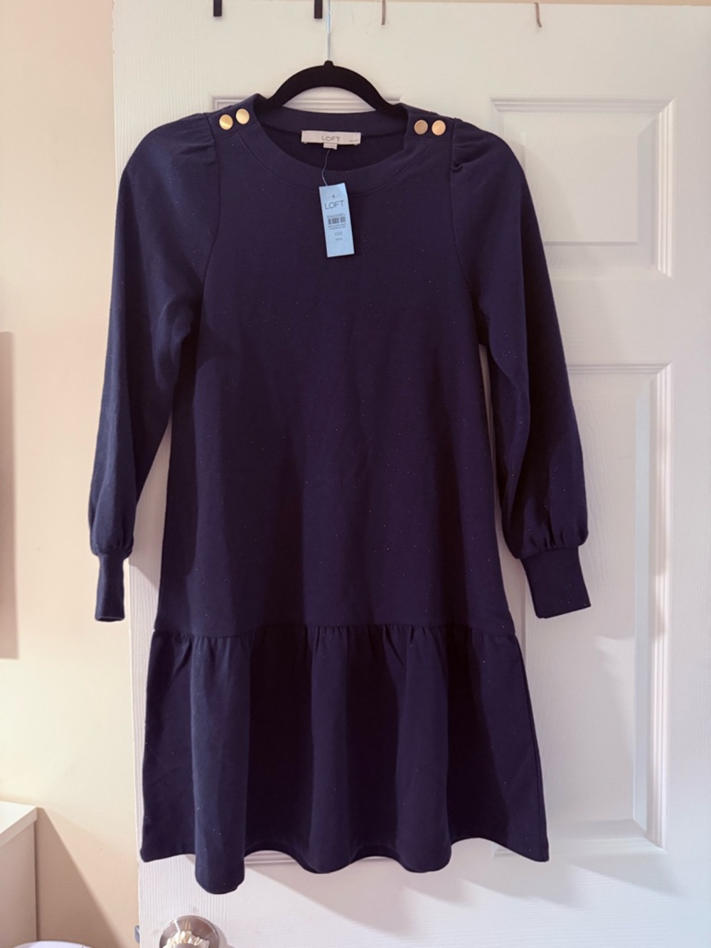 LOFT Navy Long-Sleeve Ruffle Hem Dress